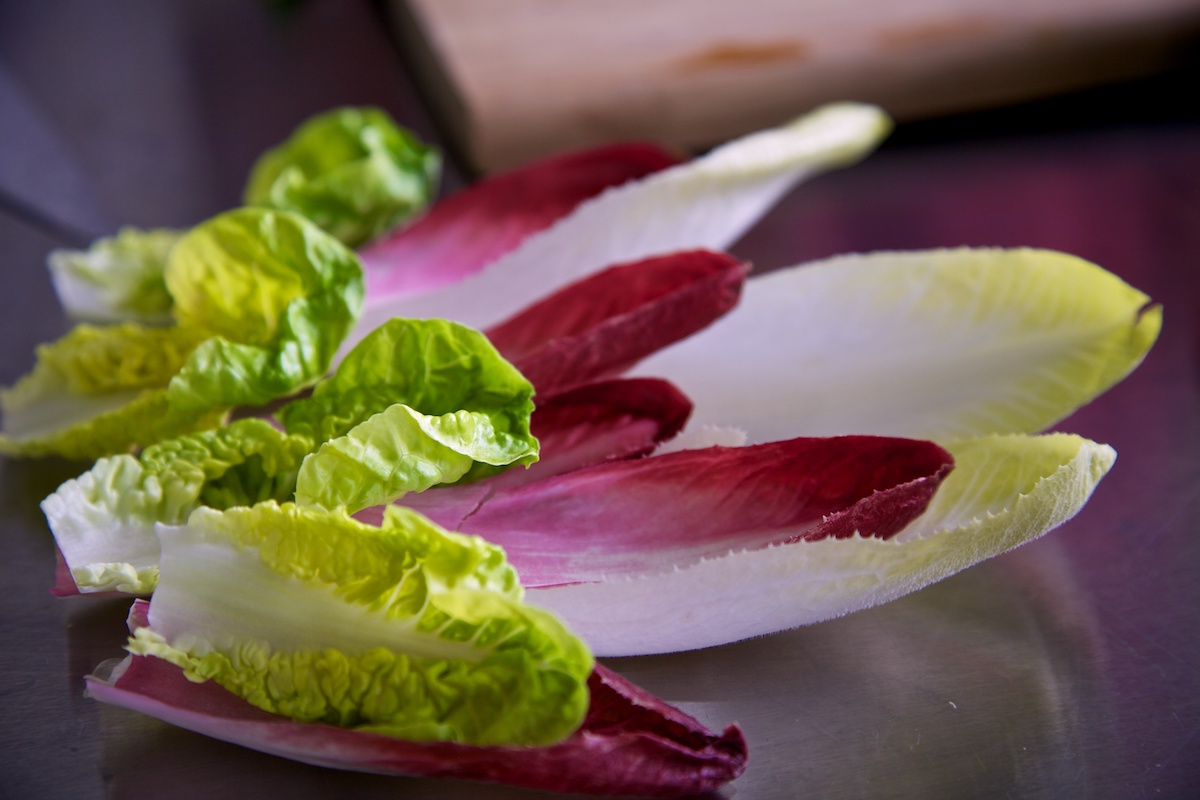 Red and green chicory (endive) leaves with small romaine leaves